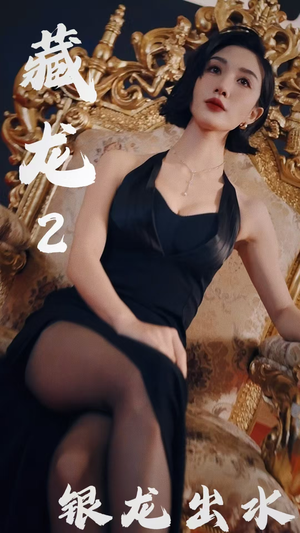藏龙2银龙出水(35集) 藏龙2银龙出水(35集)看过的人都说好