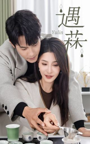 遇菻&遇霖(50集) 遇菻&遇霖(50集)超好看古装短剧