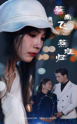 燕南飞,燕难归(31集) 燕南飞,燕难归(31集)全剧看到大结局