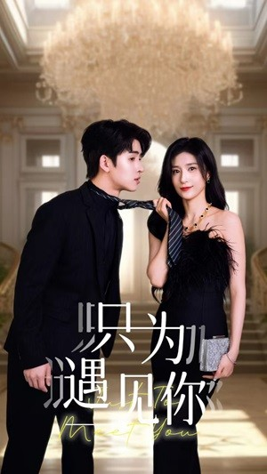 只为遇见你(88集) 只为遇见你(88集)短剧太好看了吧