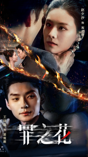 罪之花(56集) 罪之花(56集)男频短剧推荐
