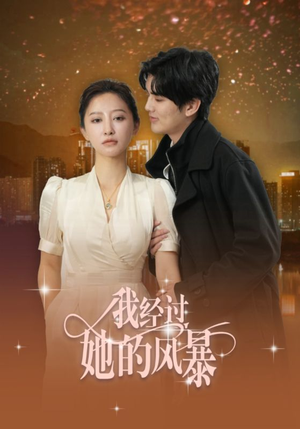 我经过她的风暴(30集) 我经过她的风暴(30集)大结局一气呵成