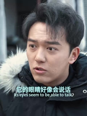 狐仙(30集) 狐仙(30集)精彩的短剧