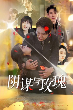 阴谋与玫瑰(31集) 阴谋与玫瑰(31集)在线观看全集