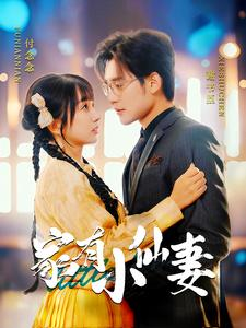 家有小仙妻(101集) 家有小仙妻(101集)短剧在哪个平台