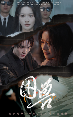 困兽（31集）短剧热门分享