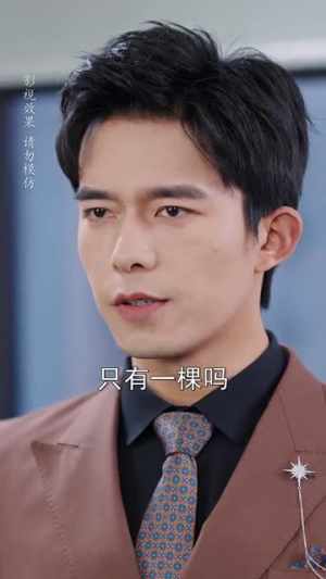 婚后夫人又撒娇了(70集) 婚后夫人又撒娇了(70集) 爆款短剧推荐