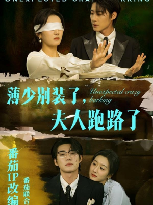 薄少别装了夫人跑路了(60集) 薄少别装了夫人跑路了(60集) 在线观看完整版