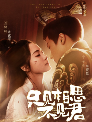 只见相思不见君(82集) 只见相思不见君(82集) 超好看的短剧