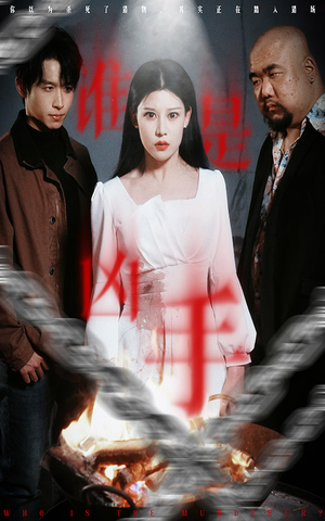 谁是凶手(31集) 谁是凶手(31集) 夸克在线观看