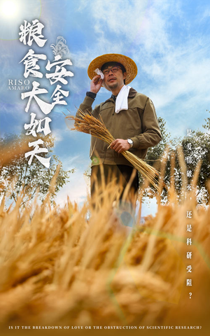 粮食安全大如天（43集） 抢先看新短剧