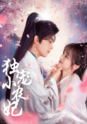 独宠小农妃(63集) 独宠小农妃(63集) 热门短剧大全