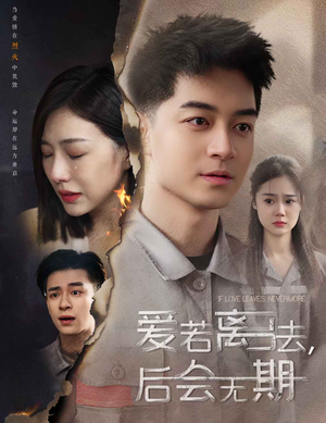 爱若离去,后会无期(70集) 爱若离去,后会无期(70集)短剧解说热门