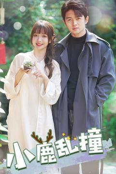 小鹿乱撞（40集） 哪个网站可以看