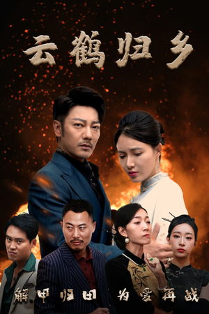 云鹤归乡（65集） 短剧热门分享