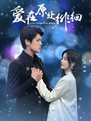 爱在原处徘徊(30集) 爱在原处徘徊(30集) 在线观看全集