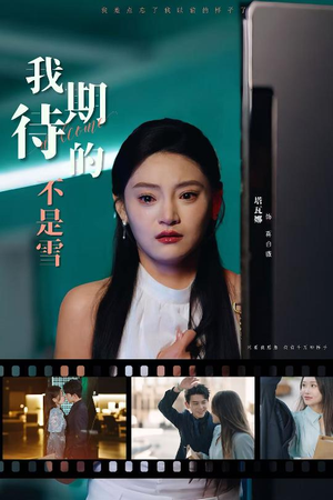 我期待的不是雪(30集) 我期待的不是雪(30集)好看短剧又来了