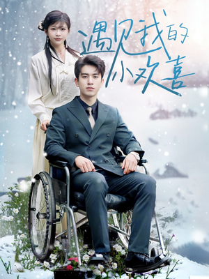 遇见我的小欢喜(70集) 遇见我的小欢喜(70集) 深深爱上这部剧