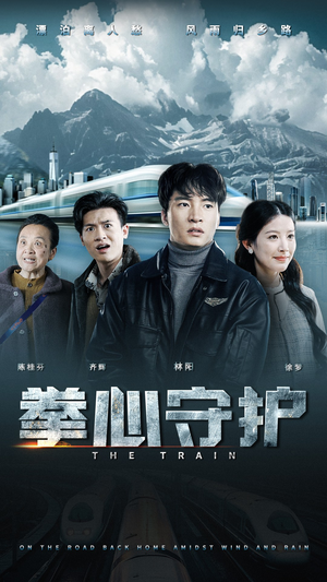 拳心守护(28集) 拳心守护(28集) 最后一集