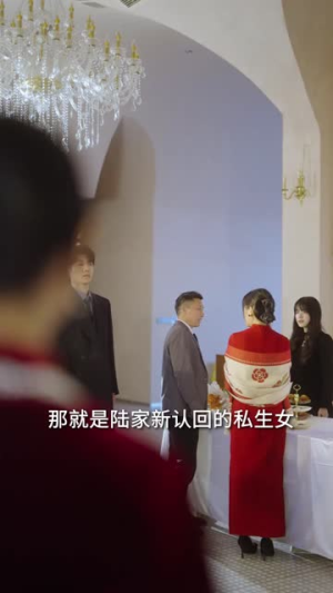 暗里沉迷(41集) 暗里沉迷(41集)视频在线看