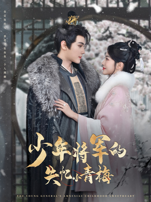 少年将军的失忆小青梅（100集）古装热门短剧