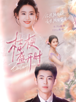 她的小桔梗(92集) 她的小桔梗(92集)免费版