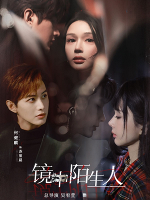 镜中陌生人(54集) 镜中陌生人(54集) 大结局太过瘾了