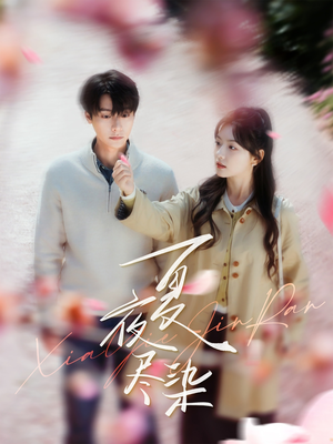 夏夜尽染(80集) 夏夜尽染(80集) 免费短剧看全集