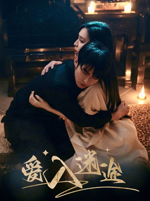 爱入迷途(67集) 爱入迷途(67集)全部免费看全集