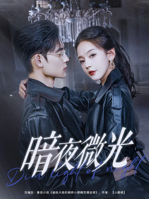 暗夜微光(86集) 暗夜微光(86集)免费短剧资源