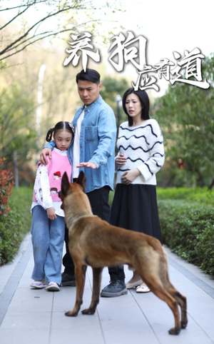 养狗应有道(60集) 养狗应有道(60集)短剧片段分享