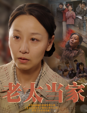 老太当家(60集) 老太当家(60集)高清无码免费看