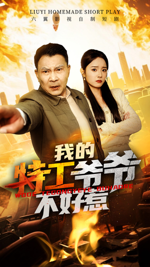 我的特工爷爷不好惹(68集) 我的特工爷爷不好惹(68集)热门短剧排行榜