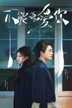不能说爱你(64集) 不能说爱你(64集)完整版