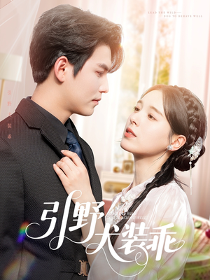 引野犬装乖（61集）恋爱短剧分享