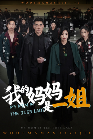 我的妈妈是一姐(62集) 我的妈妈是一姐(62集)高分佳作免费看