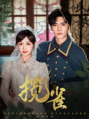 揽雀(61集) 揽雀(61集)短剧推荐来了