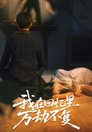 我在回忆里万劫不复(60集) 我在回忆里万劫不复(60集)番茄短剧免费看