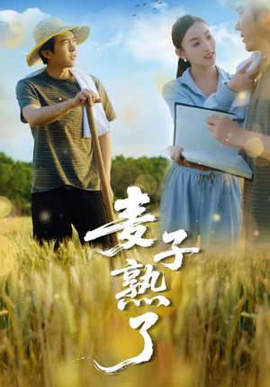 麦子熟了(52集) 麦子熟了(52集)全集
