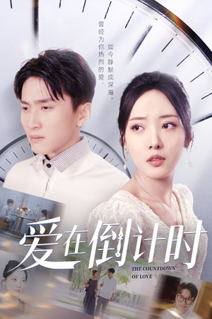 爱在倒计时(30集) 爱在倒计时(30集)最后的大结局