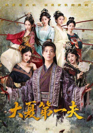 大夏第一夫(90集) 大夏第一夫(90集)百度在线观看