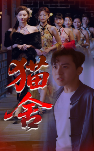 猫舍(34集) 猫舍(34集)短剧全集完整