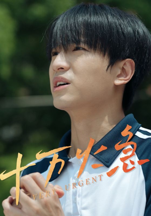 十万火急(30集) 十万火急(30集)每日短剧分享