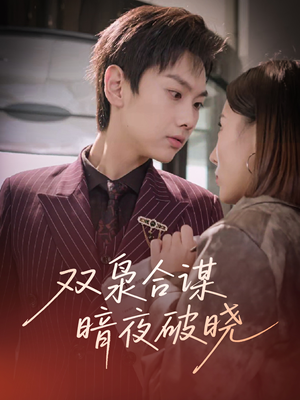 双枭合谋暗夜破晓(30集) 双枭合谋暗夜破晓(30集)剧好看短剧推荐