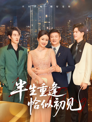 半生重逢恰似初见(90集) 半生重逢恰似初见(90集)哪个网站可以看