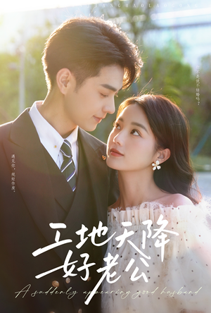工地天降好老公(60集) 工地天降好老公(60集)全集完整版