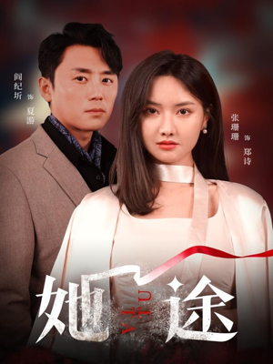 她途(48集) 她途(48集)真的好看吗