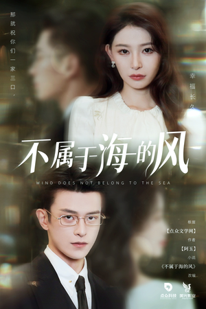 不属于海的风(40集) 不属于海的风(40集)抢先看热门短剧