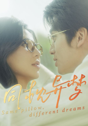 同枕异梦(50集) 同枕异梦(50集)穿越短剧推荐