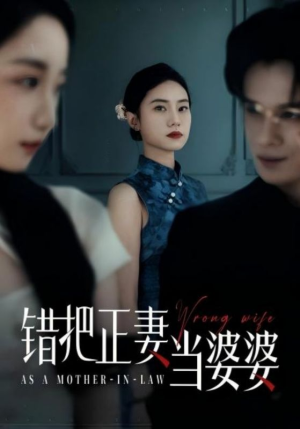 错把正妻当婆婆(46集) 错把正妻当婆婆(46集)每日短剧分享